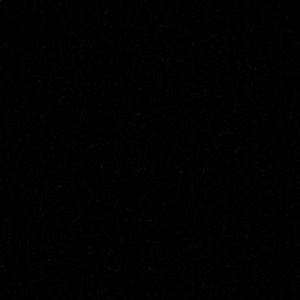 Meet your Posher, Griffin